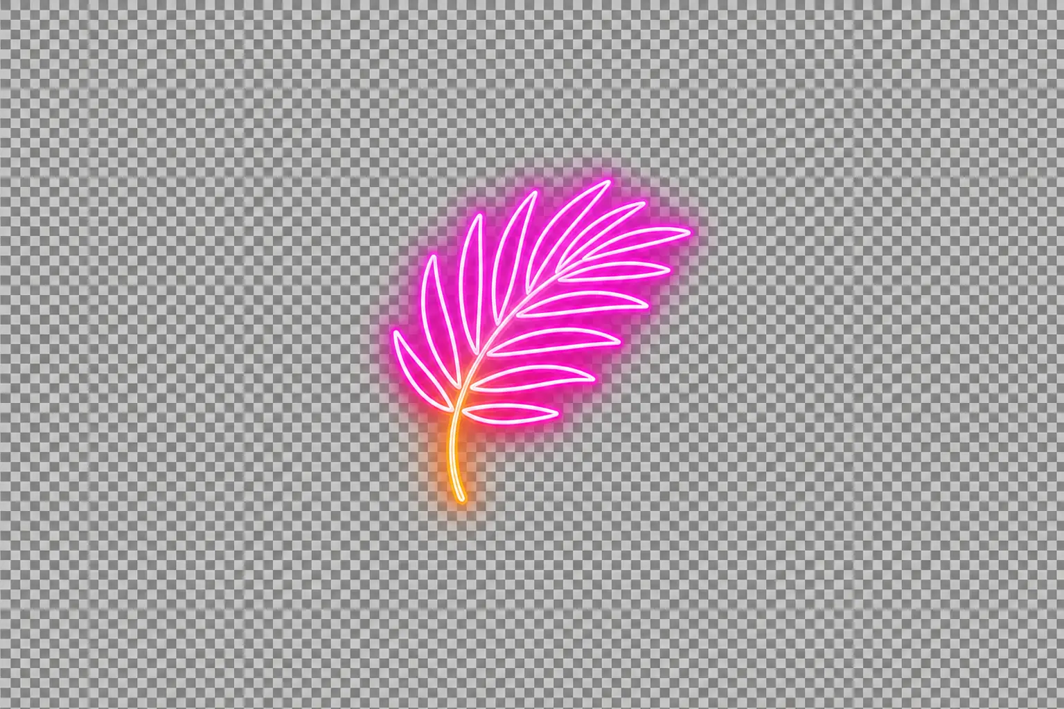 Palmera